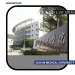 Guilin Medical University-2