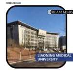 Liaoning Medical University-1