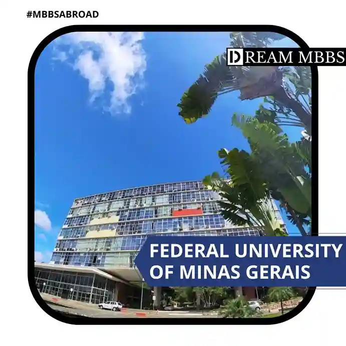 Federal University of Minas Gerais