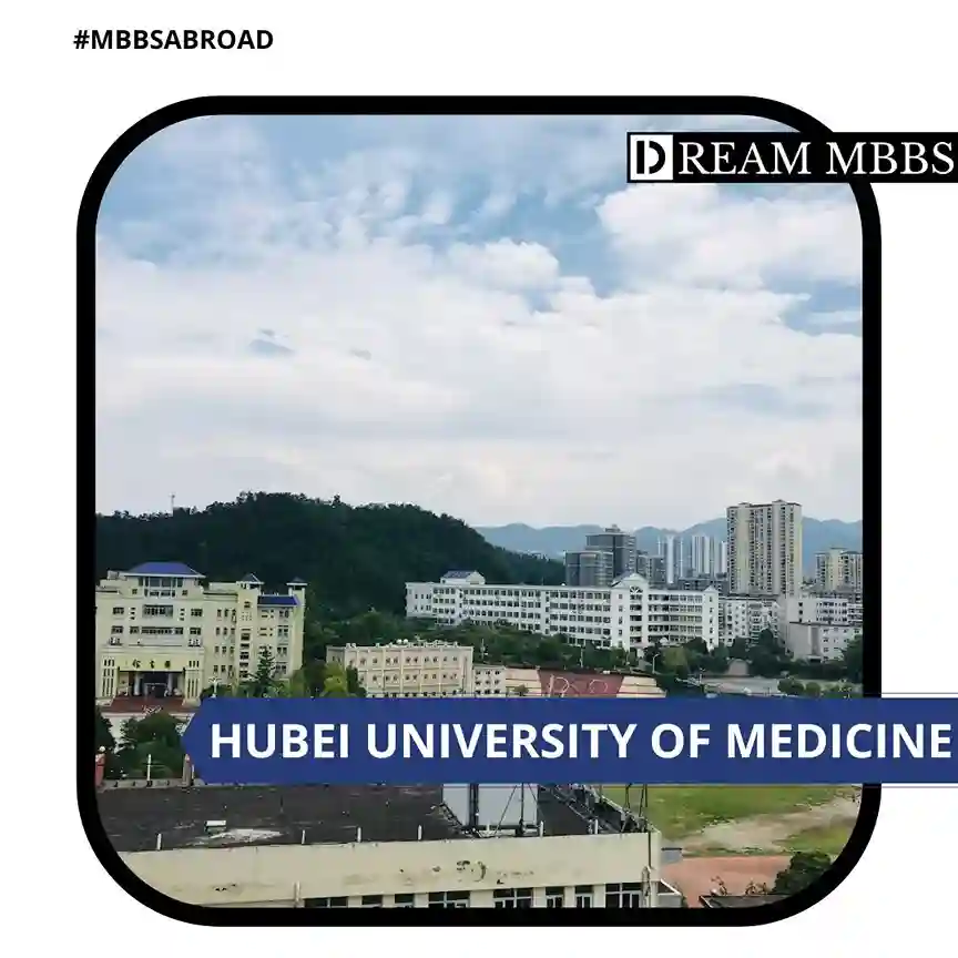 Hubei University of Medicine