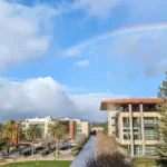 Stanford University School of Medicine