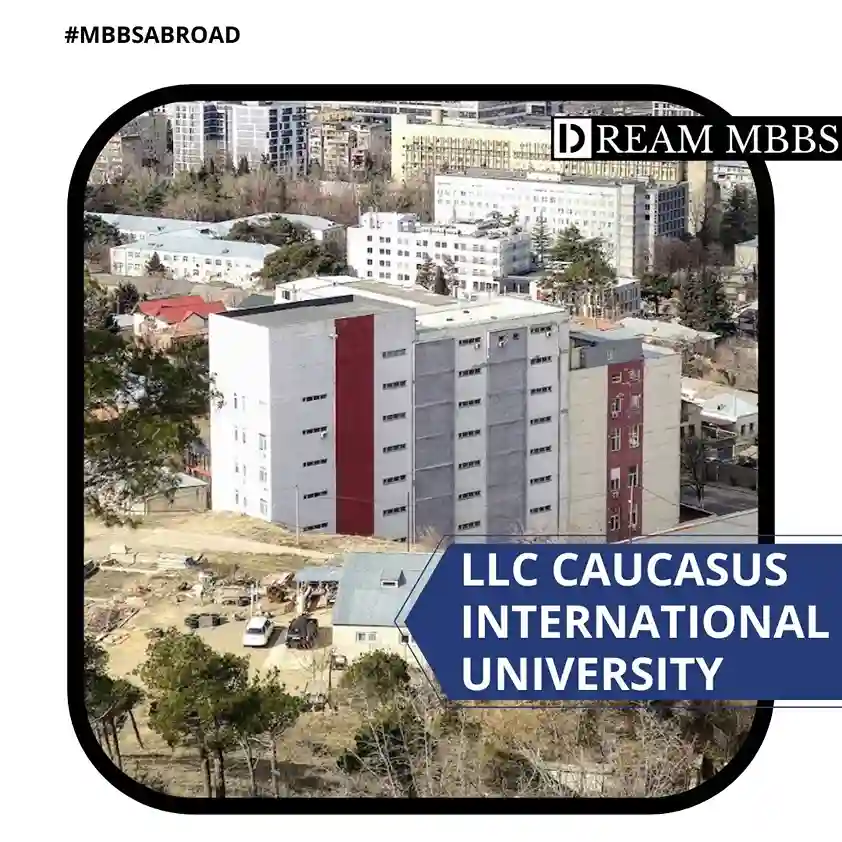 LLC Caucasus International University