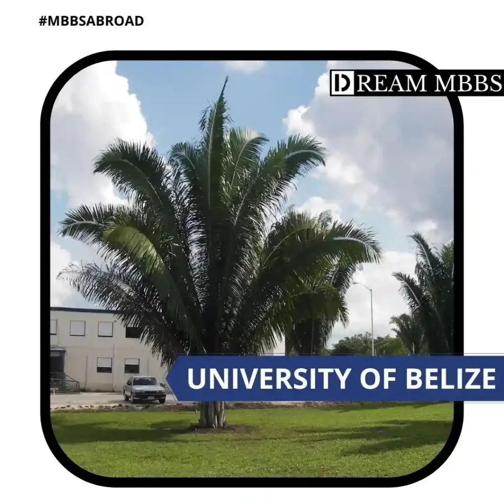 University of BELIZE