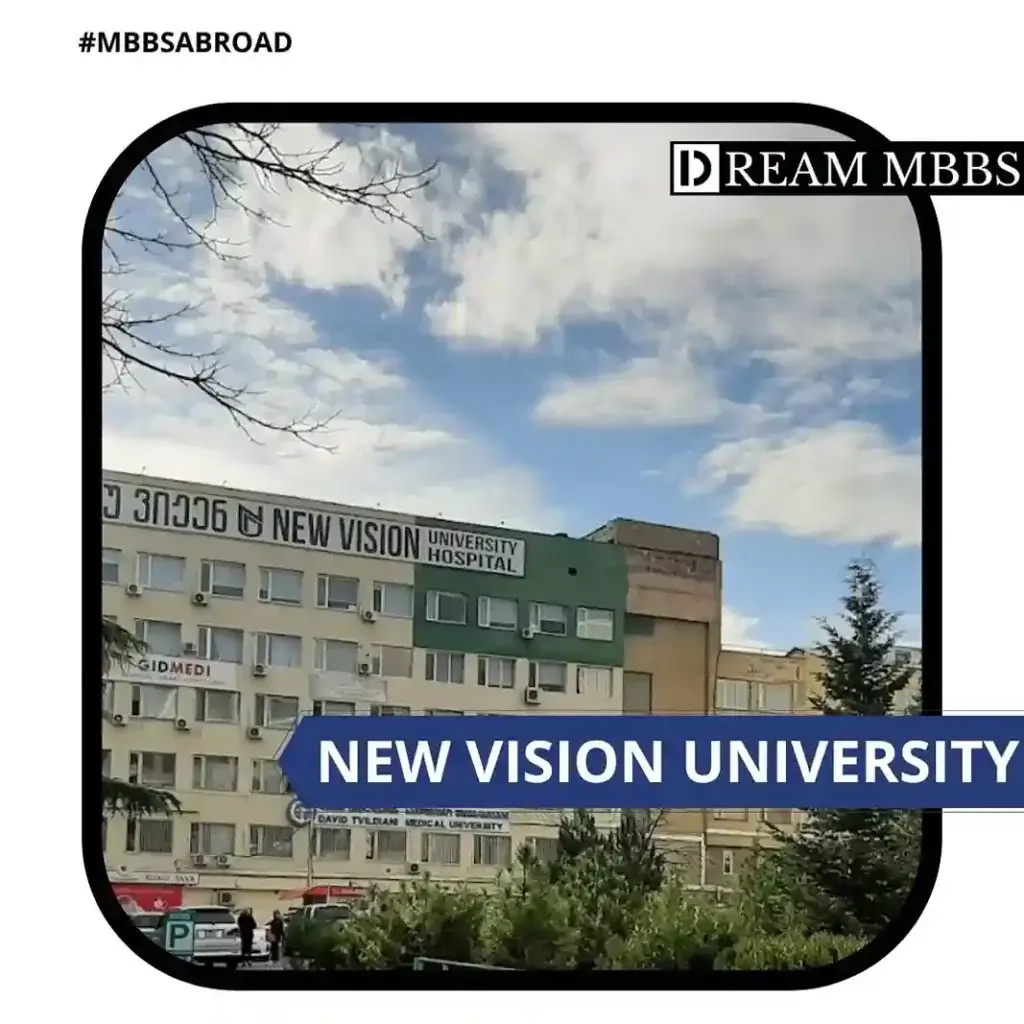 new vision university