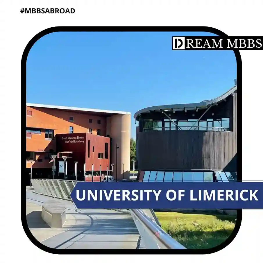 university of limerick